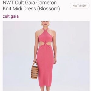 Cult Gaia cut out dress